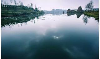 成都白鹭湾湿地公园 成都白鹭湾湿地公园