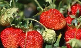 万盛和綦江 万盛和綦江