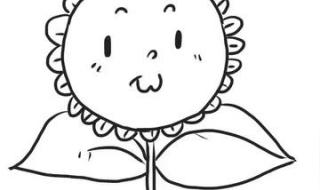 向日葵简笔画 向日葵简笔画
